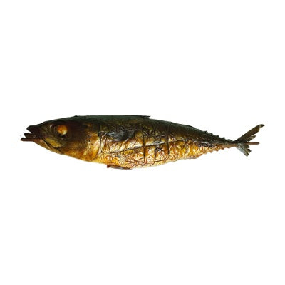 Titus Fish - Smoked x1