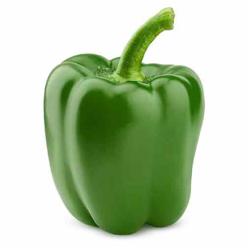 Pepper - Green x3