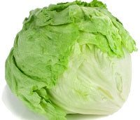 Iceberg Lettuce