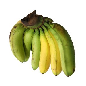 Banana (Allow 1 Day To Ripen)