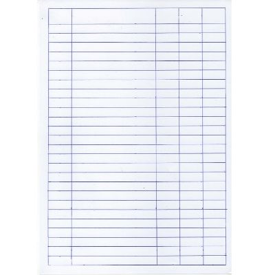 Treble Cash Book