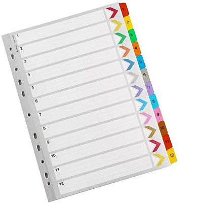 Buy Rexel Mylar Reinforced Index 1-12 - Color in Nigeria | Notepads ...