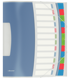 Esselte Divider Book Colour'Ice Multi-Colour - 12 Part