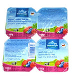 Oldenburger Yoghurt Forest Fruits Low Fat 100 g x4