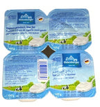 Oldenburger Yoghurt Plain Low Fat 100 g x4