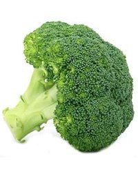 Broccoli - Fresh