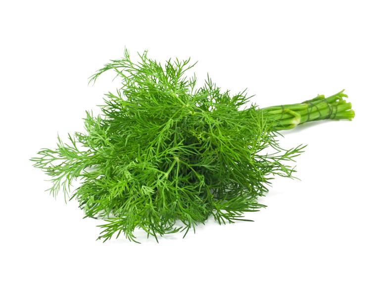 Dill - Imported