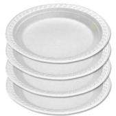 Disposable Plastic Plates x10
