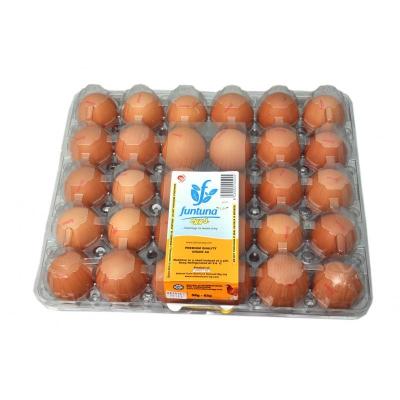 Funtuna Eggs x30