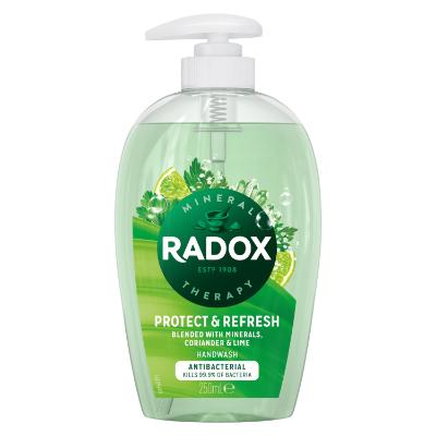 Buy Radox Hand Wash Protect & Refresh With Minerals, Coriander & Lime ...
