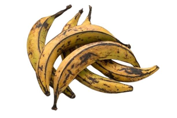 Plantain x6