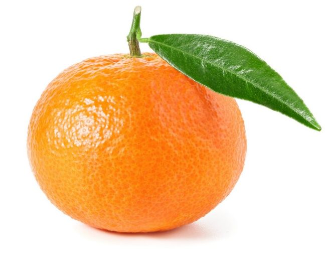 Tangerine - Imported x5