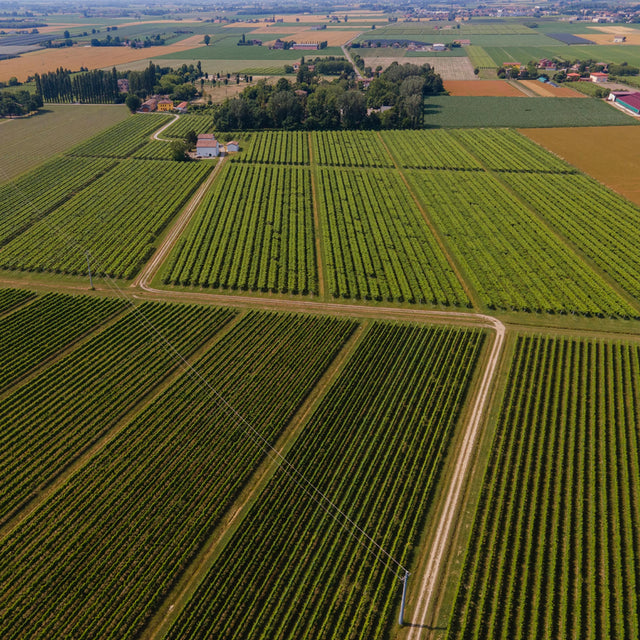 Mazzetti Chef's Reduction Classic Balsamic Glaze 215 ml