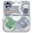 Tommee Tippee Anytime Soothers 18-36 Months Pack of 2