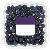 Blueberry Pack