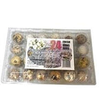 Fresh Quail Eggs x24