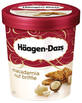 Haagen-Dazs Ice Cream Macadamia Nut Brittle 100 ml