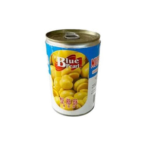 Blue Pearl Mushrooms Pieces & Stems 400 g