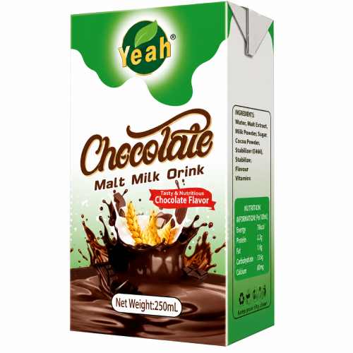 Yeah Chocolate Malt Flavoured Milk Drink 250 ml x 24
