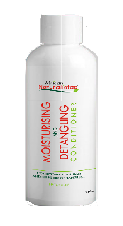 African Naturalistas Black Moisturising Natural Shampoo 300 ml Supermart.ng