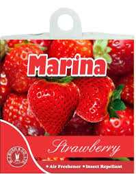 Marina Air Freshener Insect Repellant Block Strawberry 60 g